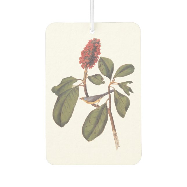 Désodorisant Pour Voiture Bonaparte Moucherolle Canada Paruline Audubon Oise (Devant)