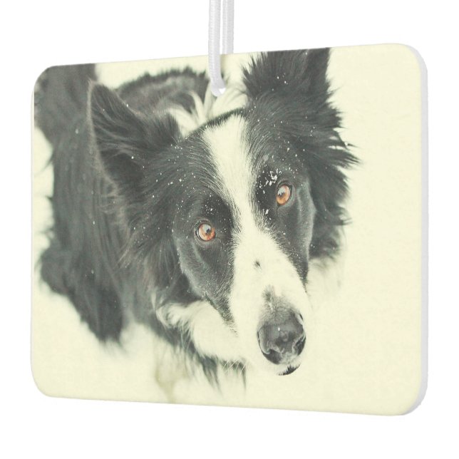 Désodorisant Pour Voiture Bordure Collie Voiture Air Freshener (Gauche)