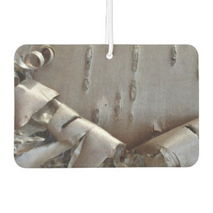 Désodorisant Pour Voiture Bouleau courbe écorce rustique