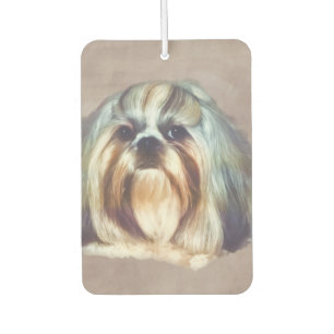 Désodorisant Pour Voiture Brindle et Chih blanc Tzu Chig