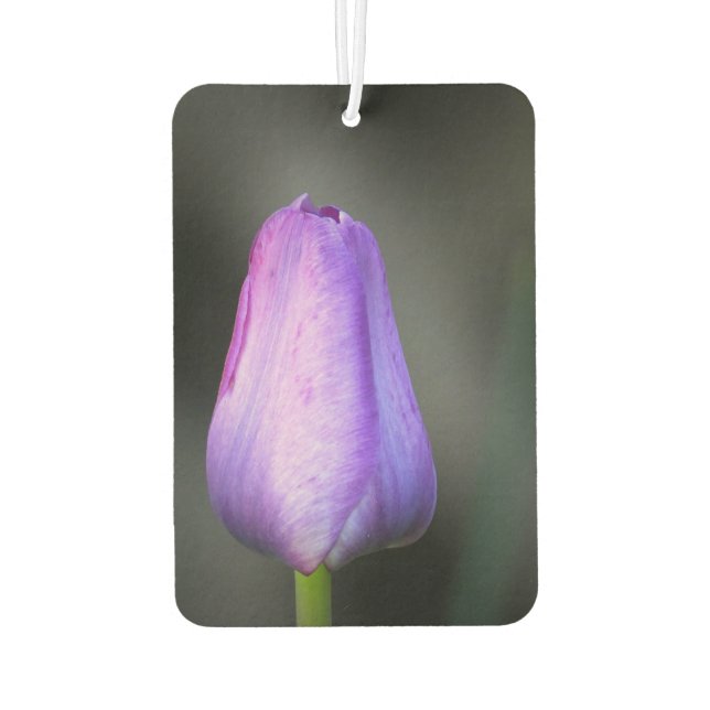 Désodorisant Pour Voiture Bud de tulipe pourpre (Dos)