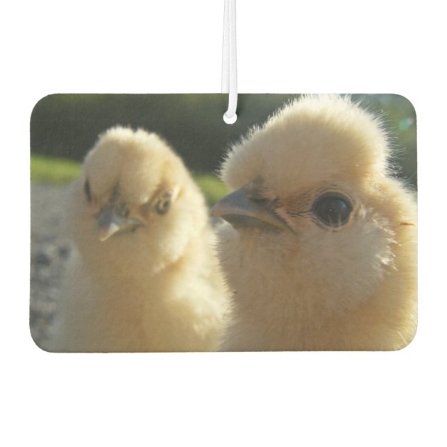 Désodorisant Pour Voiture Buff Silkie poulet (Devant)