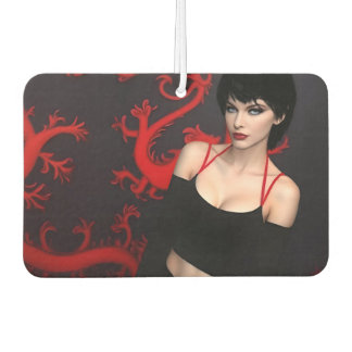 Désodorisant Pour Voiture Burnt Out Souls air freshener