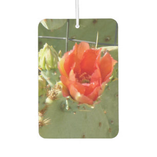 Désodorisant Pour Voiture Cactus Épurant et belle voiture air freshener