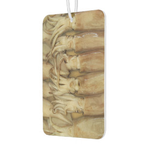 Désodorisant Pour Voiture Calamari