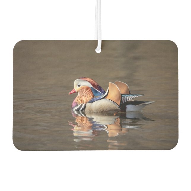 Désodorisant Pour Voiture Canard mandarin (Devant)