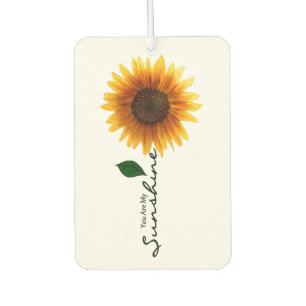Désodorisant Pour Voiture Car Air Freshener - Vous Êtes Mon Soleil