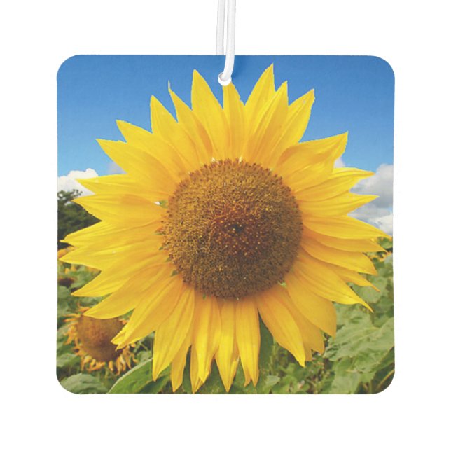 Désodorisant Pour Voiture Carré Sunflower Air Freshener (Dos)