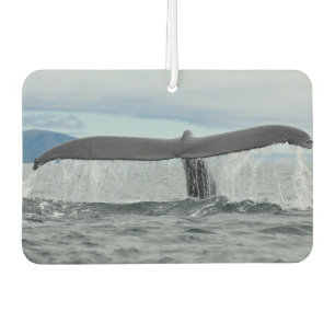 Désodorisant Pour Voiture Cascade