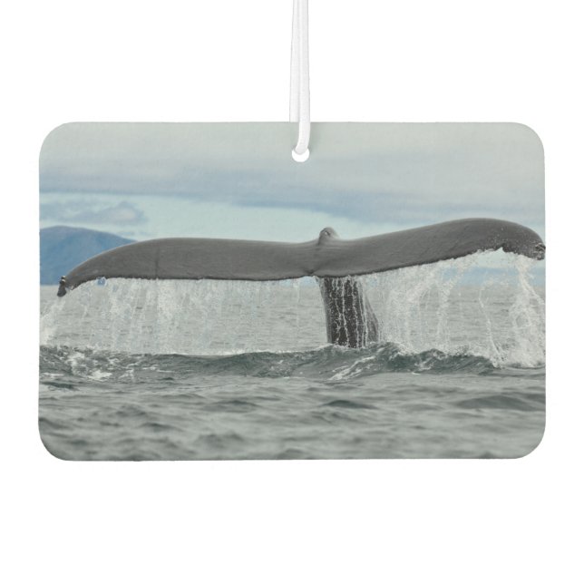 Désodorisant Pour Voiture Cascade (Devant)