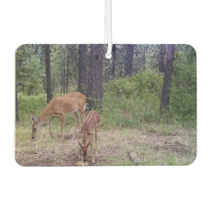 Désodorisant Pour Voiture Cerfs communs