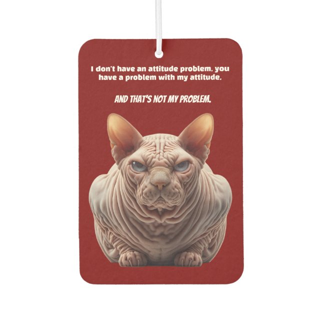 Désodorisant Pour Voiture Chat à mauvaise attitude (Devant)