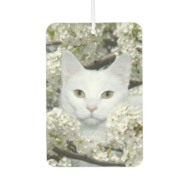 Désodorisant Pour Voiture Chat blanc en fleurs blanches (Devant)