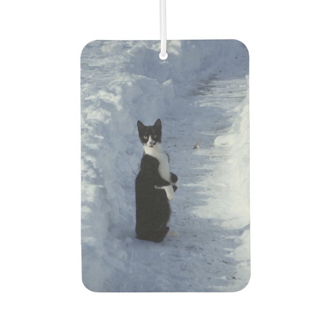 Désodorisant Pour Voiture chat dans la neige (Devant)