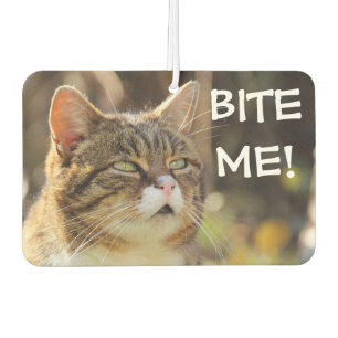 Désodorisant Pour Voiture Chat Drôle et Impertinent avec Attitude Mords Moi