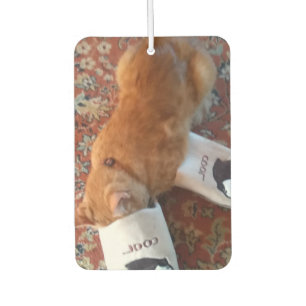 Désodorisant Pour Voiture chat ginger