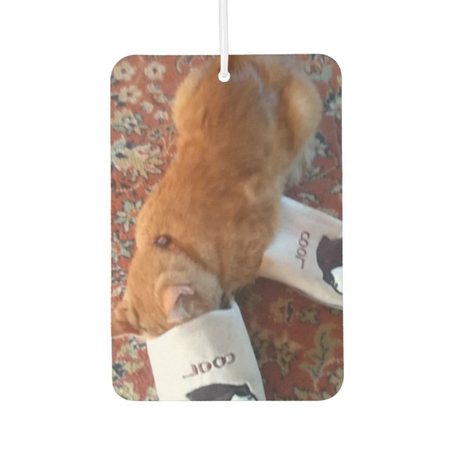 Désodorisant Pour Voiture chat ginger (Devant)