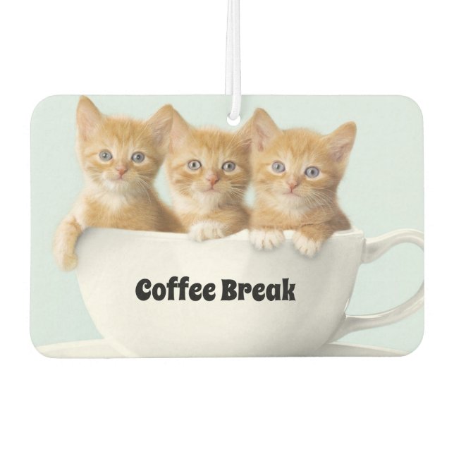 Désodorisant Pour Voiture Chatons Air Freshener (Devant)