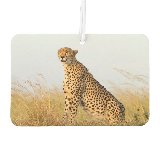 Désodorisant Pour Voiture Cheetah (Dos)