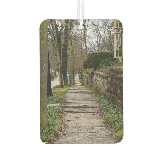 Désodorisant Pour Voiture Chemin inégal (Dos)