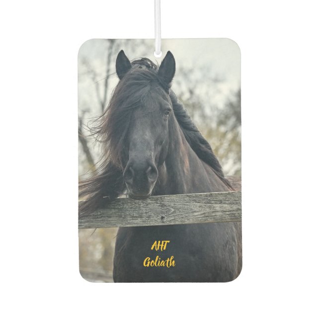 Désodorisant Pour Voiture Cheval AHT Secourt Goliath (Devant)