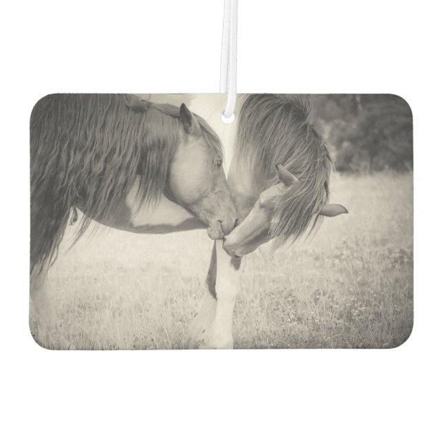 Désodorisant Pour Voiture Chevaux Baiser Air Freshener (Dos)
