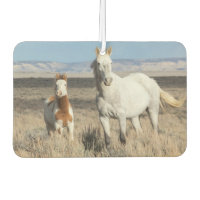Chevaux sauvages chez eux dans le bassin de Sandwa