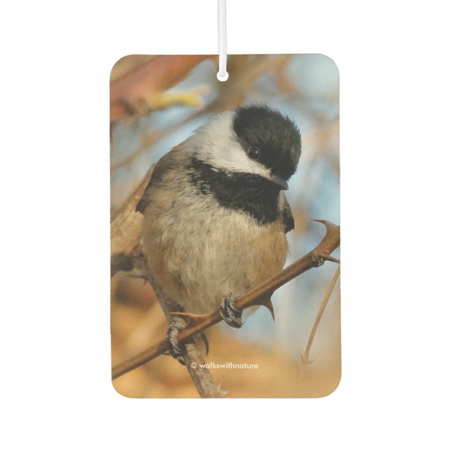 Désodorisant Pour Voiture Chickadee Songbird, Joli Espérant (Devant)
