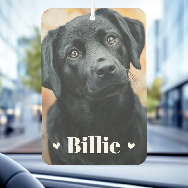 Désodorisant Pour Voiture Chien de chien animal nom de chat coeurs deux phot (Pet dog cat name hearts two photos air freshener)