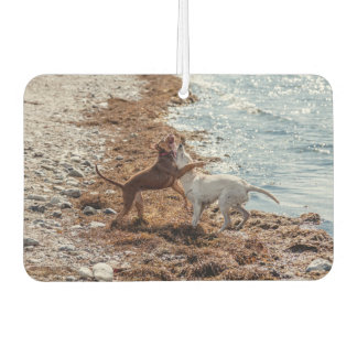 Désodorisant Pour Voiture Chiens sur la plage