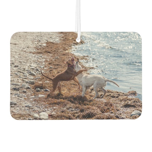 Désodorisant Pour Voiture Chiens sur la plage (Devant)