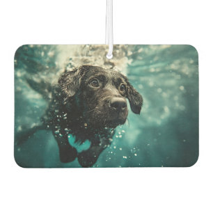 Désodorisant Pour Voiture Chiot labrador nageant sous l'eau Design