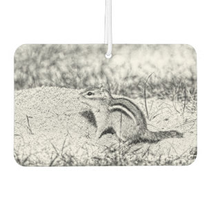 Désodorisant Pour Voiture Chipmunk Sketch