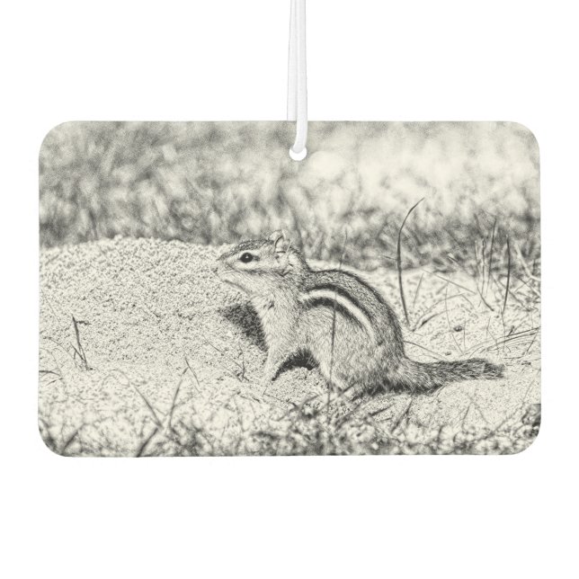 Désodorisant Pour Voiture Chipmunk Sketch (Devant)