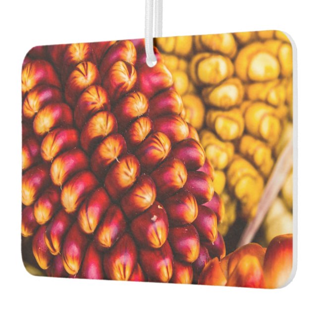Désodorisant Pour Voiture Cobs de maïs (Gauche)
