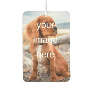 DÉSODORISANT POUR VOITURE CONCEVEZ VOTRE PROPRE