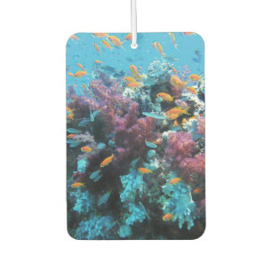 Désodorisant Pour Voiture Corail rose avec poisson orange