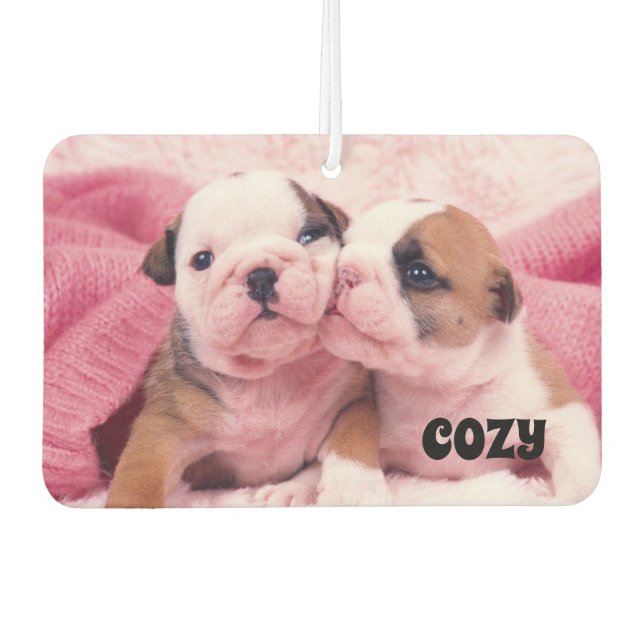 Désodorisant Pour Voiture Cosy Puppies Air Freshener (Devant)