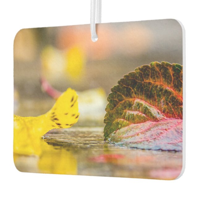 Désodorisant Pour Voiture Couleurs d'automne (Gauche)
