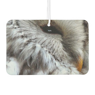 DÉSODORISANT POUR VOITURE COUPER OWL