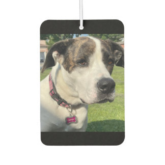 Désodorisant Pour Voiture Créez votre propre