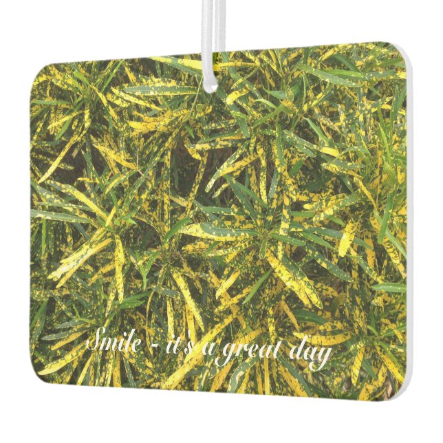 Désodorisant Pour Voiture Créez votre propre désosseuse (Gauche)