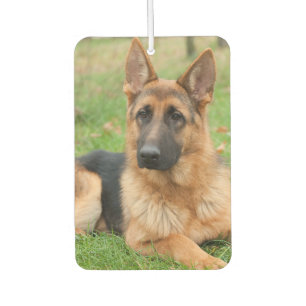 Désodorisant Pour Voiture Créez Votre Propre Photo de Animal de Compagnie Pe