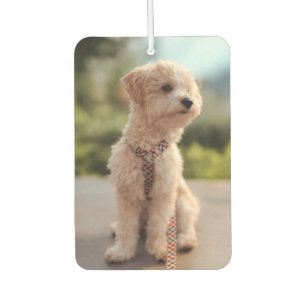 Désodorisant Pour Voiture Créez Votre Propre Photo de Animal de Compagnie Pe