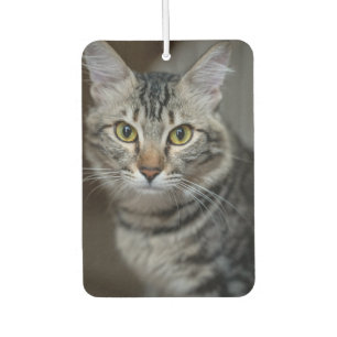Désodorisant Pour Voiture Créez Votre Propre Photo de Chat Personnalisée