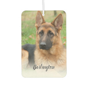 Désodorisant Pour Voiture Créez Votre Propre Photo de Chien Personnalisée av