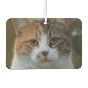 Désodorisant Pour Voiture Créez Votre Propre Photo Personnalisée de Chat de