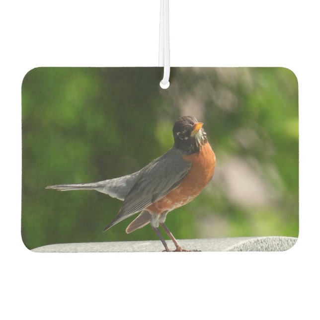 Désodorisant Pour Voiture Cute Robin (Devant)