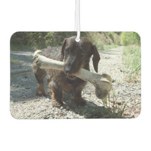Désodorisant Pour Voiture Dachshund