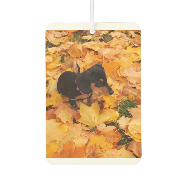 Désodorisant Pour Voiture Dachshund (Devant)